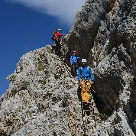 Alpine Gran Foda' Hotel
