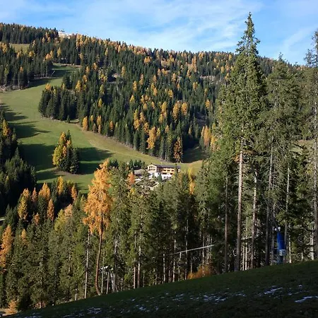 Hotel Alpine Gran Foda' 3*